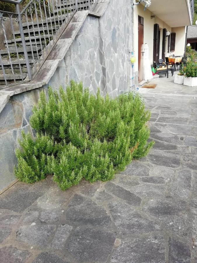 Villa Banfi Lavena Ponte Tresa Eksteriør bilde