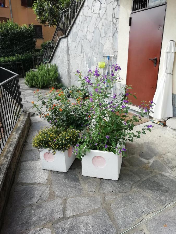 Villa Banfi Lavena Ponte Tresa Eksteriør bilde