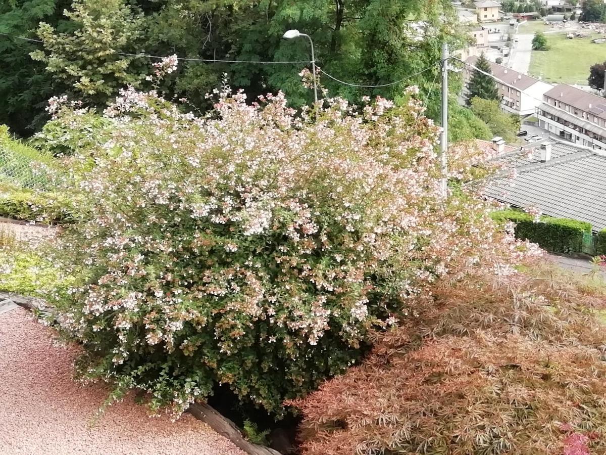 Villa Banfi Lavena Ponte Tresa Eksteriør bilde