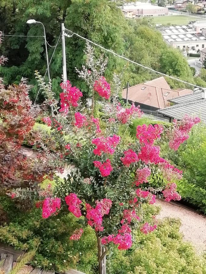 Villa Banfi Lavena Ponte Tresa Eksteriør bilde