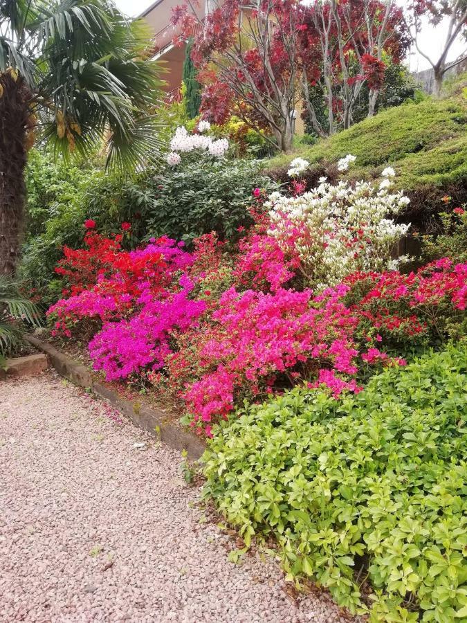 Villa Banfi Lavena Ponte Tresa Eksteriør bilde
