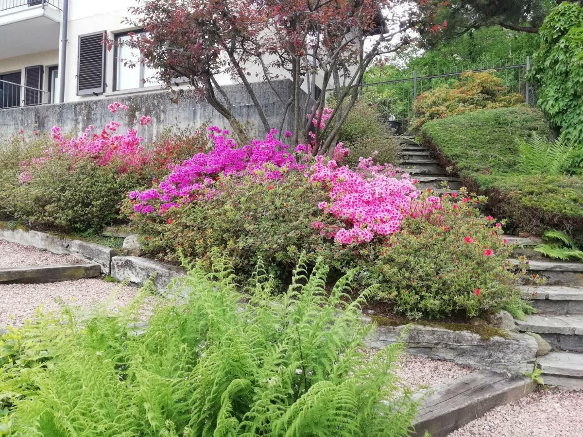 Villa Banfi Lavena Ponte Tresa Eksteriør bilde